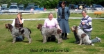 Filename=Best-Of-Breed.jpg
Filesize=75KiB
Dimensions=650x345
Date added=Sep 16, 2009 Best-Of-Breed.jpg