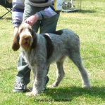 Filename=C-TedBaker.jpg
Filesize=75KiB
Dimensions=650x654
Date added=Sep 16, 2009 C-TedBaker.jpg