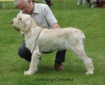 Filename=C-Corinna.jpg
Filesize=61KiB
Dimensions=600x488
Date added=Sep 16, 2009 C-Corinna.jpg