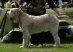 Filename=H-DonTLookEthel.jpg
Filesize=61KiB
Dimensions=700x500
Date added=Sep 16, 2009 H-DonTLookEthel.jpg