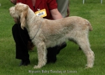 Filename=W-RubyTuesday.jpg
Filesize=58KiB
Dimensions=700x500
Date added=Sep 16, 2009 W-RubyTuesday.jpg