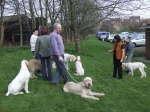 Filename=Group.JPG
Filesize=78KiB
Dimensions=600x450
Date added=Sep 16, 2009 Group.JPG
