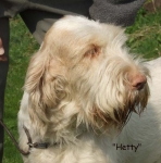 Filename=Hetty7 copy.jpg
Filesize=60KiB
Dimensions=600x605
Date added=Sep 16, 2009 Hetty7 copy.jpg