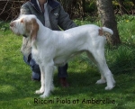 Filename=R-Piola.jpg
Filesize=74KiB
Dimensions=600x486
Date added=Sep 16, 2009 R-Piola.jpg