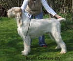 Filename=Riccini-DelPiero.jpg
Filesize=76KiB
Dimensions=600x500
Date added=Sep 16, 2009 Riccini-DelPiero.jpg