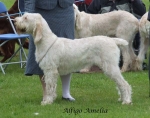 Filename=A-Amelia.jpg
Filesize=57KiB
Dimensions=600x474
Date added=Sep 16, 2009 A-Amelia.jpg