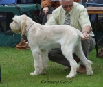 Filename=C-Carlo.jpg
Filesize=62KiB
Dimensions=600x511
Date added=Sep 16, 2009 C-Carlo.jpg