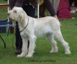 Filename=C-Corrina.jpg
Filesize=56KiB
Dimensions=600x506
Date added=Sep 16, 2009 C-Corrina.jpg