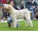 Filename=I-Massimiliano.jpg
Filesize=69KiB
Dimensions=600x495
Date added=Sep 16, 2009 I-Massimiliano.jpg