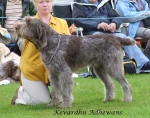 Filename=K-Adhewans.jpg
Filesize=71KiB
Dimensions=600x472
Date added=Sep 16, 2009 K-Adhewans.jpg