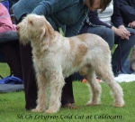 Filename=L-ColdCut.jpg
Filesize=67KiB
Dimensions=600x543
Date added=Sep 16, 2009 L-ColdCut.jpg