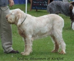 Filename=R-Rhuannon.jpg
Filesize=56KiB
Dimensions=600x495
Date added=Sep 16, 2009 R-Rhuannon.jpg