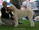 Filename=A-Alana.jpg
Filesize=66KiB
Dimensions=650x500
Date added=Sep 16, 2009 A-Alana.jpg