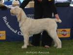 Filename=A-Amelia.jpg
Filesize=56KiB
Dimensions=650x500
Date added=Sep 16, 2009 A-Amelia.jpg