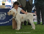 Filename=A-Andreo.jpg
Filesize=67KiB
Dimensions=650x500
Date added=Sep 16, 2009 A-Andreo.jpg