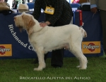 Filename=B-Alfetta.jpg
Filesize=59KiB
Dimensions=650x500
Date added=Sep 16, 2009 B-Alfetta.jpg