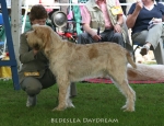 Filename=B-Daydream.jpg
Filesize=78KiB
Dimensions=650x500
Date added=Sep 16, 2009 B-Daydream.jpg