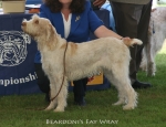 Filename=B-FayWray.jpg
Filesize=68KiB
Dimensions=650x500
Date added=Sep 16, 2009 B-FayWray.jpg