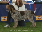Filename=Ben-OfDeladrio.jpg
Filesize=63KiB
Dimensions=650x500
Date added=Sep 16, 2009 Ben-OfDeladrio.jpg