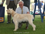 Filename=C-Carlo.jpg
Filesize=71KiB
Dimensions=650x500
Date added=Sep 16, 2009 C-Carlo.jpg