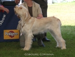 Filename=C-Corinna.jpg
Filesize=61KiB
Dimensions=650x500
Date added=Sep 16, 2009 C-Corinna.jpg