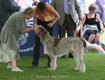 Filename=F-Alonso.jpg
Filesize=79KiB
Dimensions=650x500
Date added=Sep 16, 2009 F-Alonso.jpg