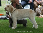 Filename=F-RoccaChe.jpg
Filesize=76KiB
Dimensions=650x500
Date added=Sep 16, 2009 F-RoccaChe.jpg