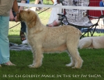 Filename=G-MagicInTheSky.jpg
Filesize=78KiB
Dimensions=650x500
Date added=Sep 16, 2009 G-MagicInTheSky.jpg