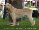 Filename=G-StarsBill-Bailey.jpg
Filesize=73KiB
Dimensions=650x500
Date added=Sep 16, 2009 G-StarsBill-Bailey.jpg
