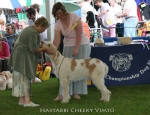 Filename=H-CheekyVimto.jpg
Filesize=81KiB
Dimensions=650x500
Date added=Sep 16, 2009 H-CheekyVimto.jpg