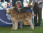 Filename=M-Cinnamon.jpg
Filesize=73KiB
Dimensions=650x500
Date added=Sep 16, 2009 M-Cinnamon.jpg