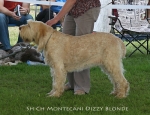 Filename=M-DizzyBlonde.jpg
Filesize=92KiB
Dimensions=650x500
Date added=Sep 16, 2009 M-DizzyBlonde.jpg