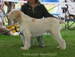 Filename=M-Francesco.jpg
Filesize=77KiB
Dimensions=650x500
Date added=Sep 16, 2009 M-Francesco.jpg