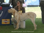 Filename=M-JustPeachy.jpg
Filesize=76KiB
Dimensions=650x500
Date added=Sep 16, 2009 M-JustPeachy.jpg