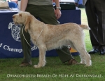 Filename=O-BreathOfHope.jpg
Filesize=69KiB
Dimensions=650x500
Date added=Sep 16, 2009 O-BreathOfHope.jpg