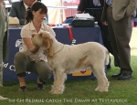 Filename=R-CatchTheDawn.jpg
Filesize=75KiB
Dimensions=650x500
Date added=Sep 16, 2009 R-CatchTheDawn.jpg