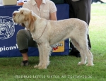 Filename=R-LittleSister.jpg
Filesize=79KiB
Dimensions=650x500
Date added=Sep 16, 2009 R-LittleSister.jpg