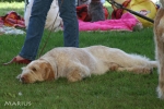 Filename=R-LiveTheDream-2.jpg
Filesize=80KiB
Dimensions=750x500
Date added=Sep 16, 2009 R-LiveTheDream-2.jpg