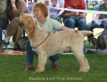 Filename=R-LiveTheDream.jpg
Filesize=79KiB
Dimensions=650x500
Date added=Sep 16, 2009 R-LiveTheDream.jpg