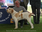Filename=R-Merlino.jpg
Filesize=64KiB
Dimensions=650x500
Date added=Sep 16, 2009 R-Merlino.jpg