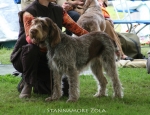 Filename=S-Zola.jpg
Filesize=82KiB
Dimensions=650x500
Date added=Sep 16, 2009 S-Zola.jpg