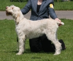 Filename=A-Amelia.jpg
Filesize=62KiB
Dimensions=650x542
Date added=Sep 16, 2009 A-Amelia.jpg