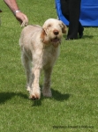 Filename=B-EdwardGRobinson-2.jpg
Filesize=70KiB
Dimensions=500x674
Date added=Sep 16, 2009 B-EdwardGRobinson-2.jpg