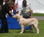Filename=B-EdwardGRobinson.jpg
Filesize=65KiB
Dimensions=650x552
Date added=Sep 16, 2009 B-EdwardGRobinson.jpg