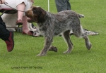 Filename=L-CreamOfTheCrop-3.jpg
Filesize=68KiB
Dimensions=650x452
Date added=Sep 16, 2009 L-CreamOfTheCrop-3.jpg