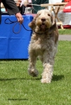 Filename=M-Cinnamon-2.jpg
Filesize=66KiB
Dimensions=500x736
Date added=Sep 16, 2009 M-Cinnamon-2.jpg