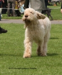 Filename=W-Xpress-2.jpg
Filesize=65KiB
Dimensions=500x602
Date added=Sep 16, 2009 W-Xpress-2.jpg