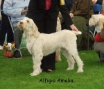 Filename=A-Amelia.jpg
Filesize=57KiB
Dimensions=600x513
Date added=Sep 16, 2009 A-Amelia.jpg