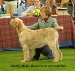 Filename=G-MagicMoments.jpg
Filesize=83KiB
Dimensions=600x568
Date added=Sep 16, 2009 G-MagicMoments.jpg