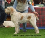Filename=J-AllThatJazz.jpg
Filesize=60KiB
Dimensions=600x511
Date added=Sep 16, 2009 J-AllThatJazz.jpg